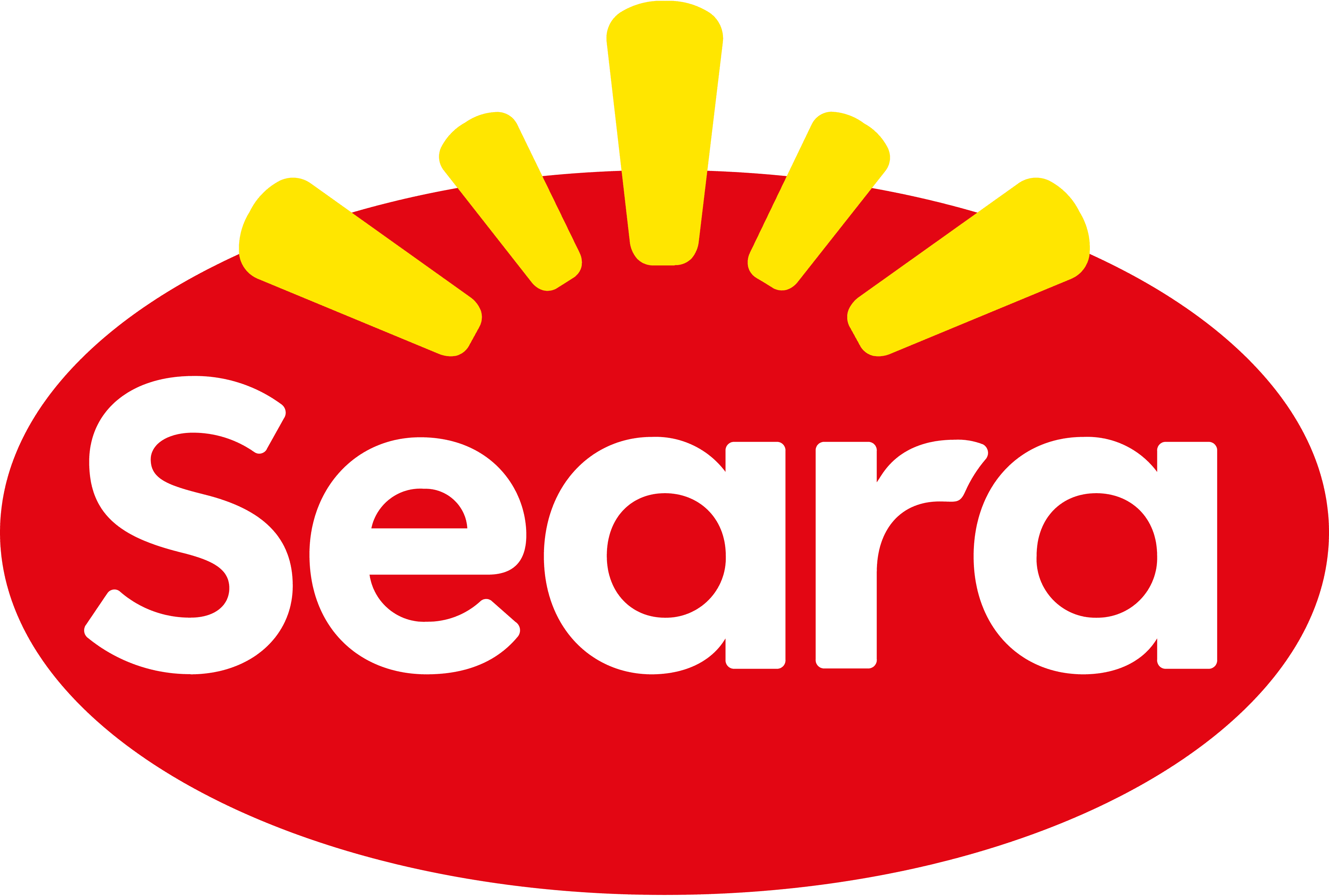 Cliente Seara